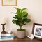 Northlight Two-Tone Fiddle Leaf Fig Artificial Potted Plant - 26" - Green
